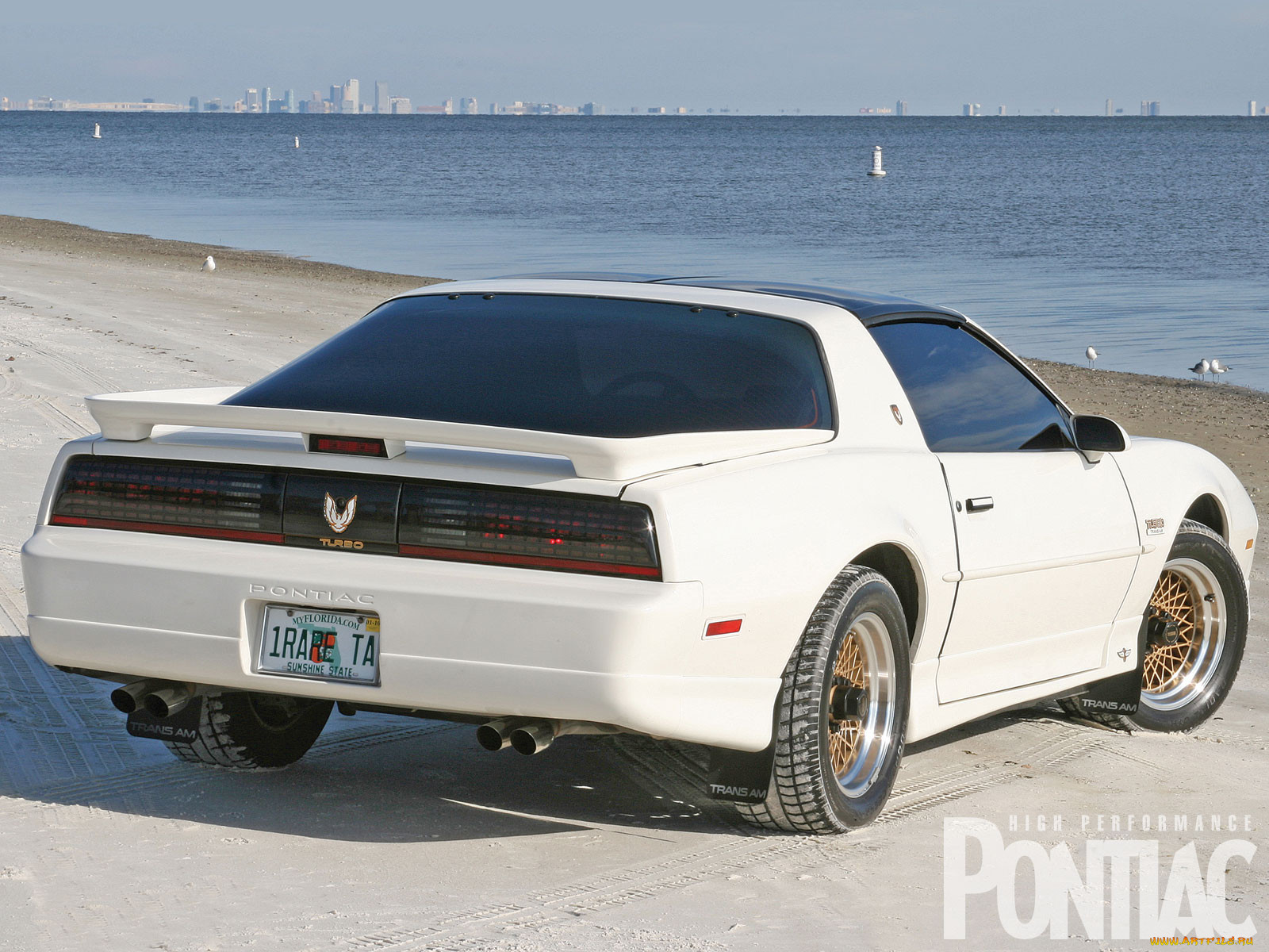 1989, pontiac, trans, am pace, car, 